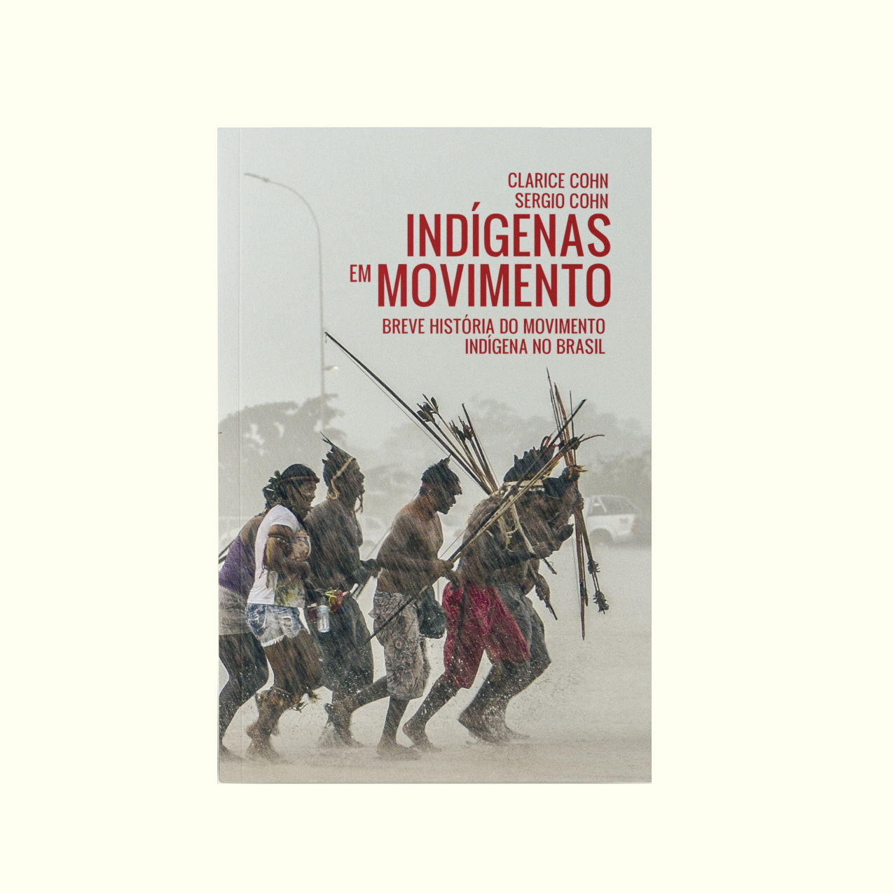 INDÍGENAS EM MOVIMENTO